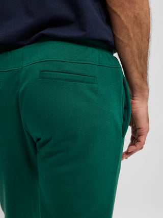 REDGREEN Manfred Pants Green