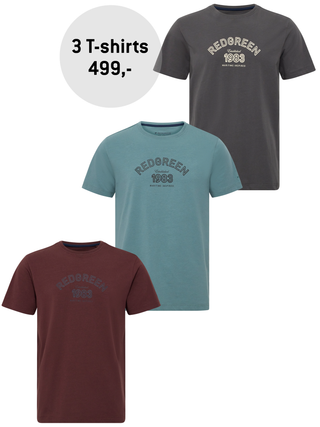 3 - Pack Con t-shirt - Efterårsfarver