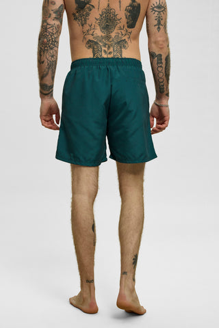 REDGREEN Triton Striber Shorts Blue/Green